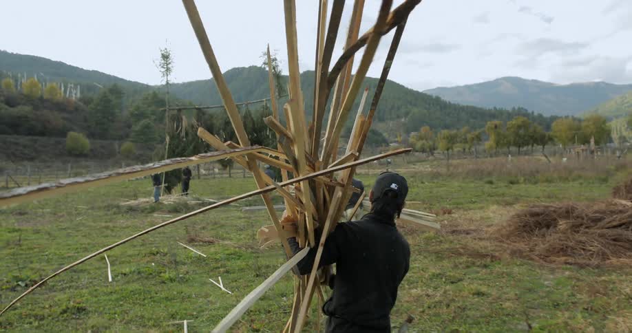Man carrying a bunch of large sticks