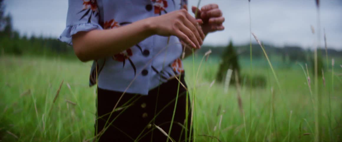 A person is touching the tall grass