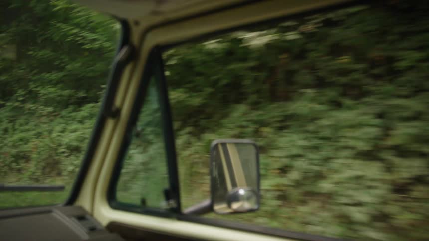 A vehicle passes the forest