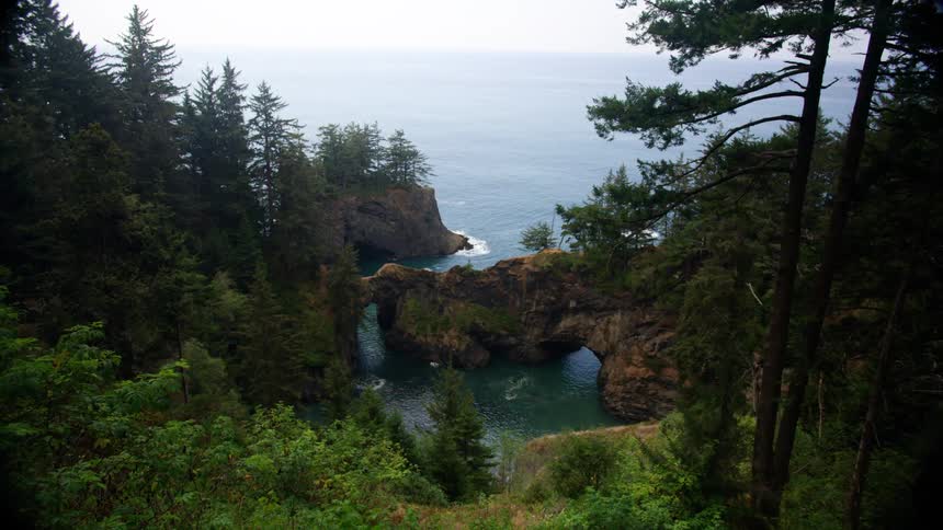 The cliffs line the shore with trees