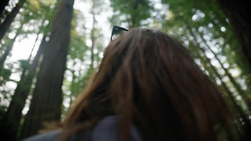 Woman with sunglasses and brown hair looks up at tall trees in the woods