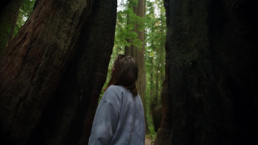 A woman is standing in a forest