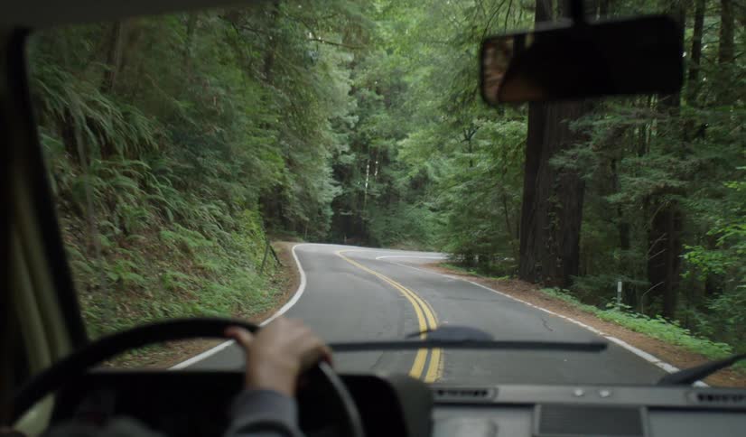 A woman driving a vehicle down a road with forest on both sides