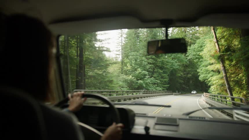 Woman with glasses drives a land vehicle on a highway through the forest