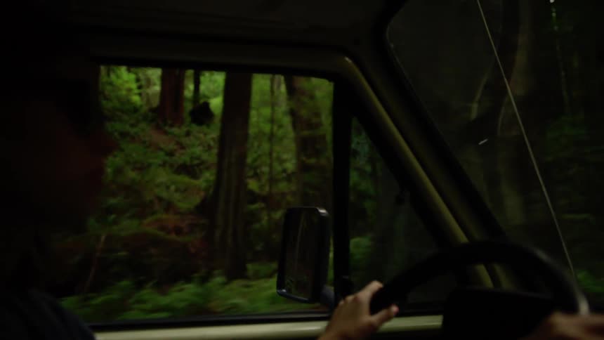 A young woman drives a vehicle along a road through a forest during the day