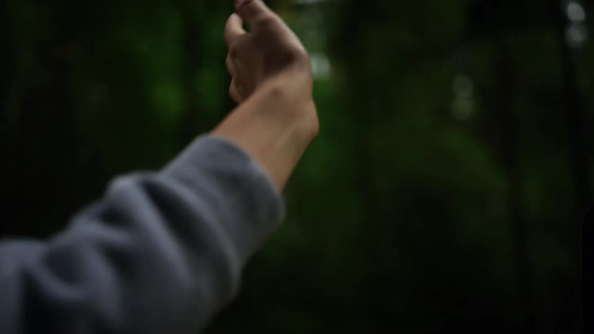 Person reaches out of vehicle passing forest to feel wind