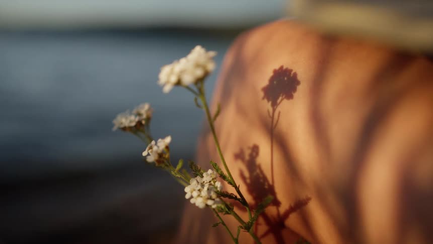 Flowers growing on the shore