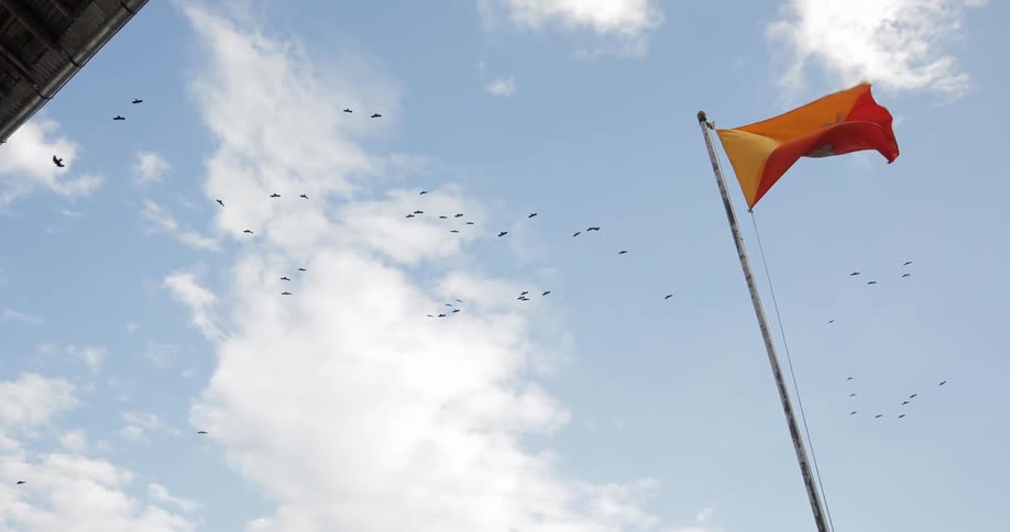 Many birds fly behind a flag
