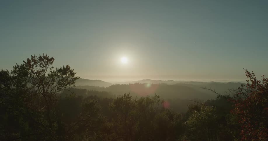 Sun shines down on mountain and forest through mist