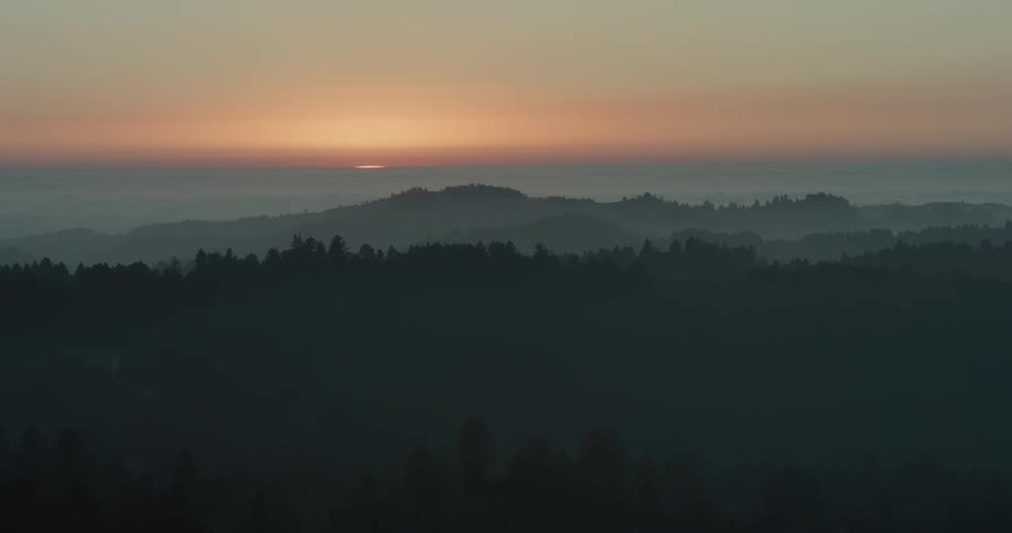 Sun sets on horizon tinting sky red as fog mutes colors of forest