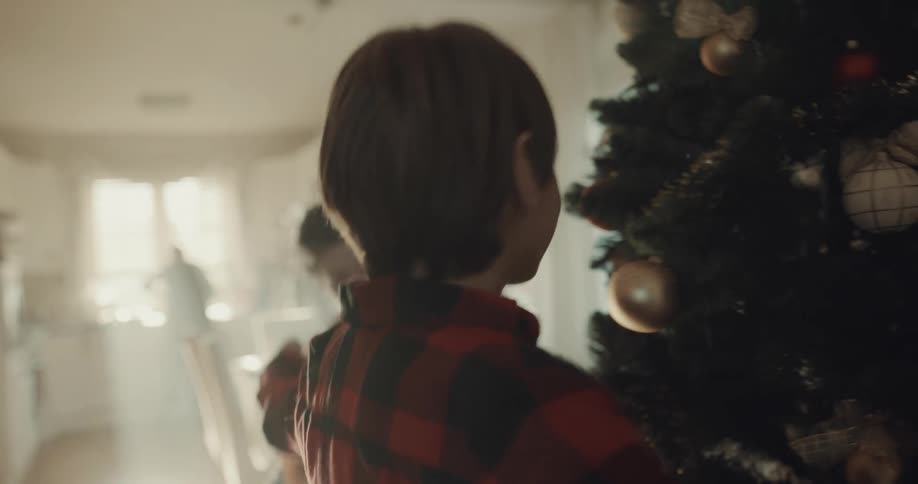 Brothers play while decorating christmas tree while older woman works in kitchen