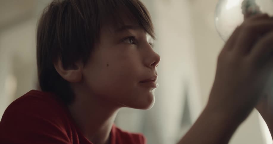 A boy in a room with a snow globe next to a christmas tree with a fireplace in the background