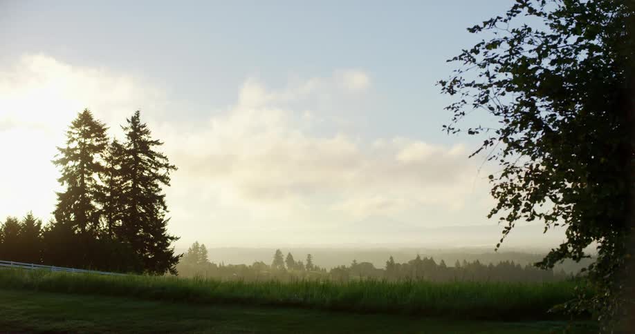 Clouds are moving across the sky over green trees and grassland during the day