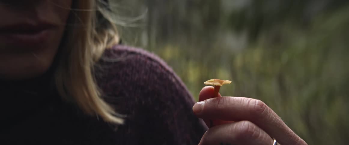 A woman with rings holding a mushroom as the wind blows through her hair with grass in the background