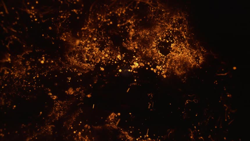 Low embers burning and blowing in the heat sparks flying