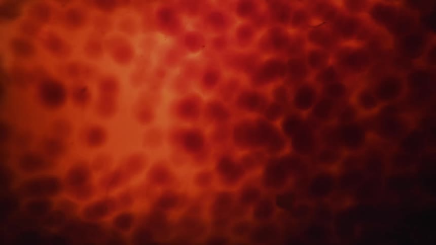 Flowing red and orange liquid