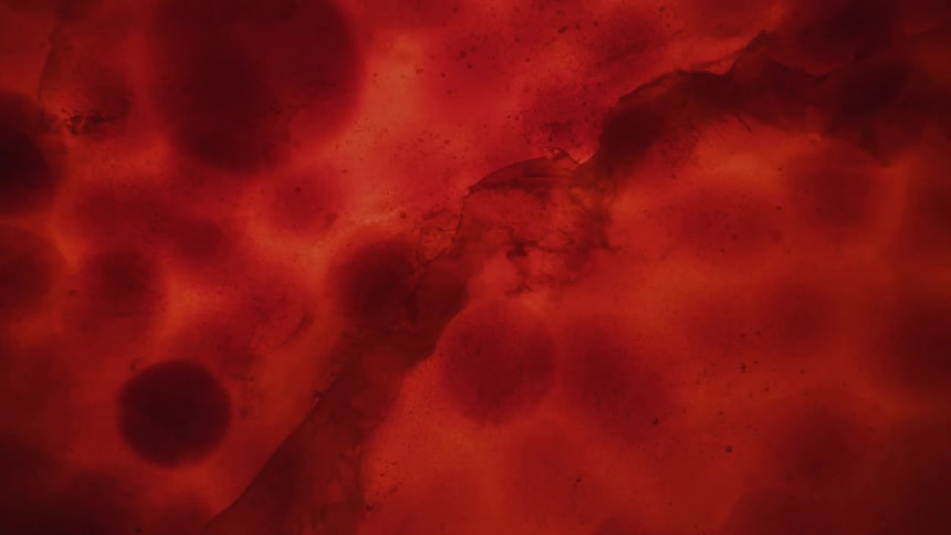 Flowing blobs in red liquid