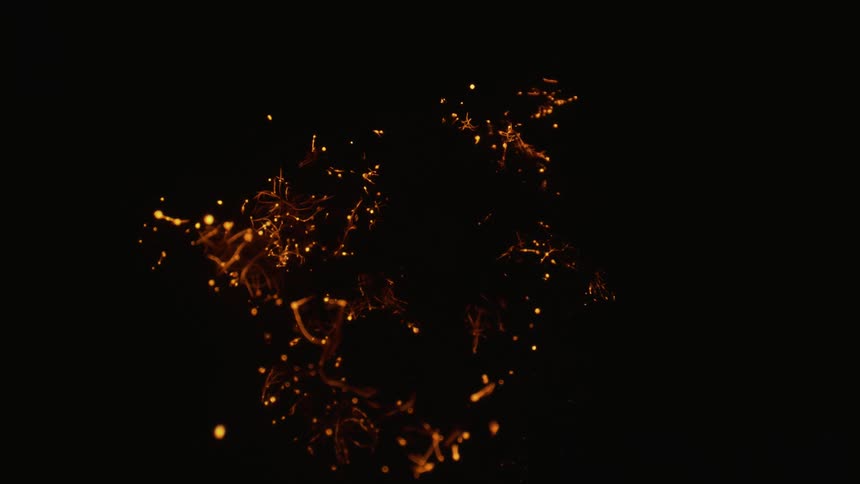 Bright golden spheres and tendrils move against dark background