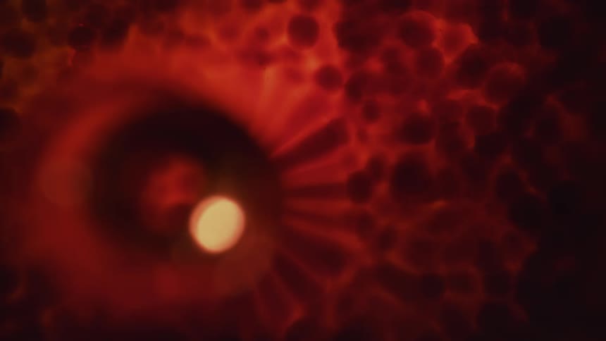 A drop of liquid falls in to a mass of liquid with red spheres and particles