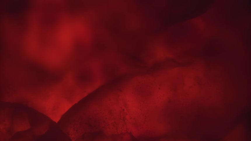 Close up of red liquid masses with parts moving