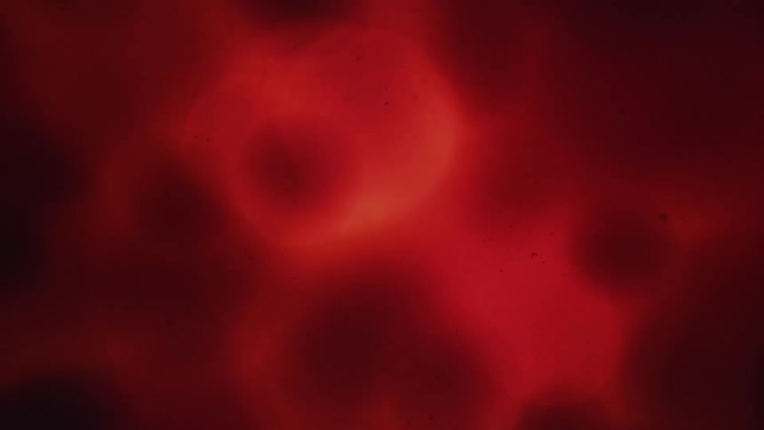 Liquid moves as light flashes and then goes dark turning from red to black