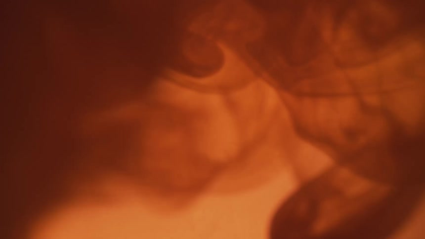 A viscous red liquid forms swirl patterns in a tube