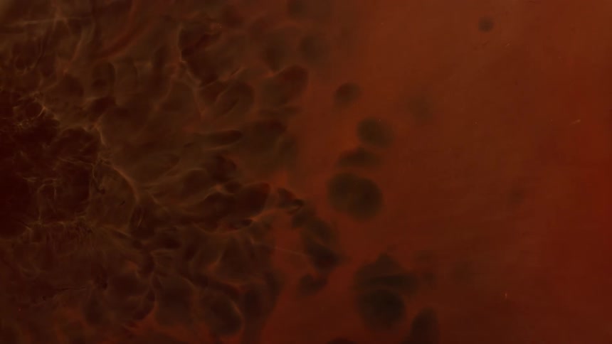 Bubbling orange liquid with dark shadows swirling around inside