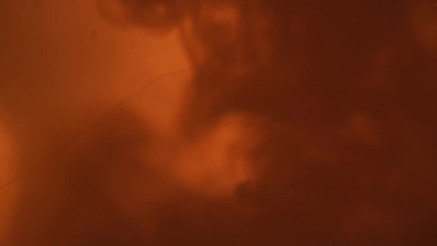 Abstract footage of liquid dye mixing together