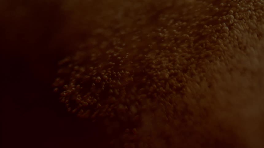 Bubbles floating in a drink