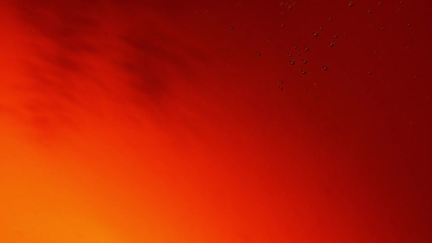 Close up of a bubbles rising in a drink
