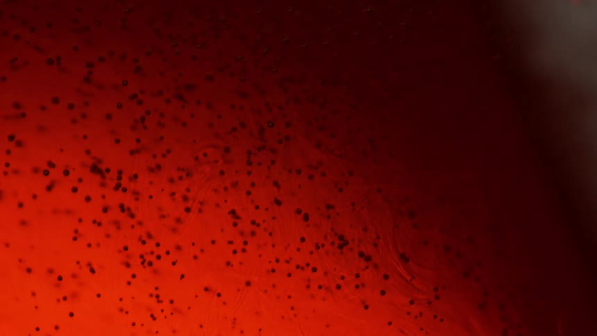 Liquid moving with black dots as orange light changes to shades and brightness