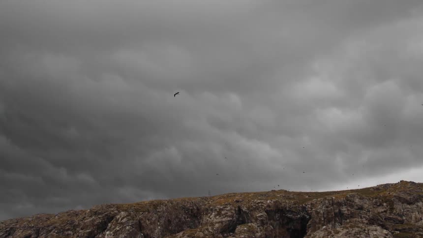 Birds fly in a grey cloudy sky above a dark ocean and cliffs as waves hit the rocky shore