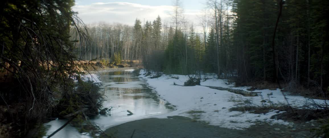 Snow is melting in the forest