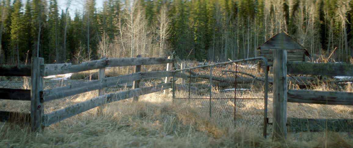 A wooden fence with a chain link gate surrounded a wooden cabin in a woodland during the day