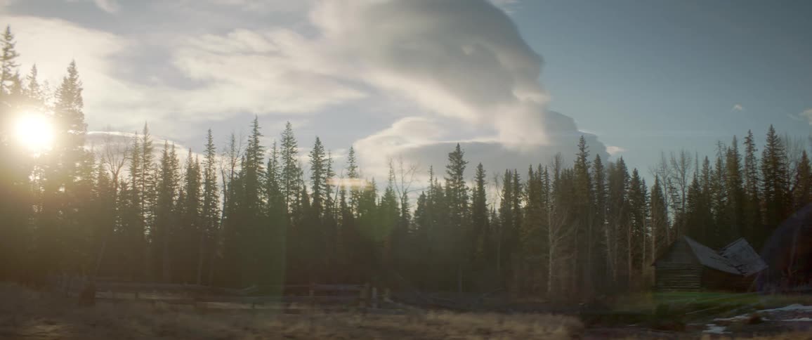 The sun is setting in the forest