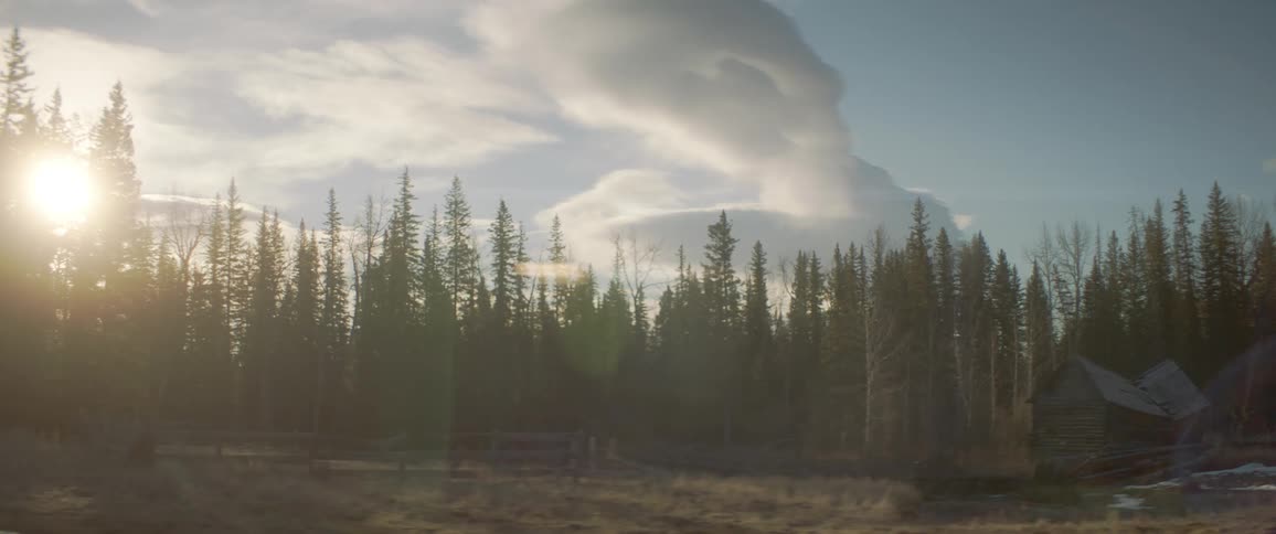 A cabin in the forest with trees with the sky and clouds in the background