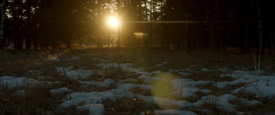 The sun sets on the horizon seen from a snowy forest