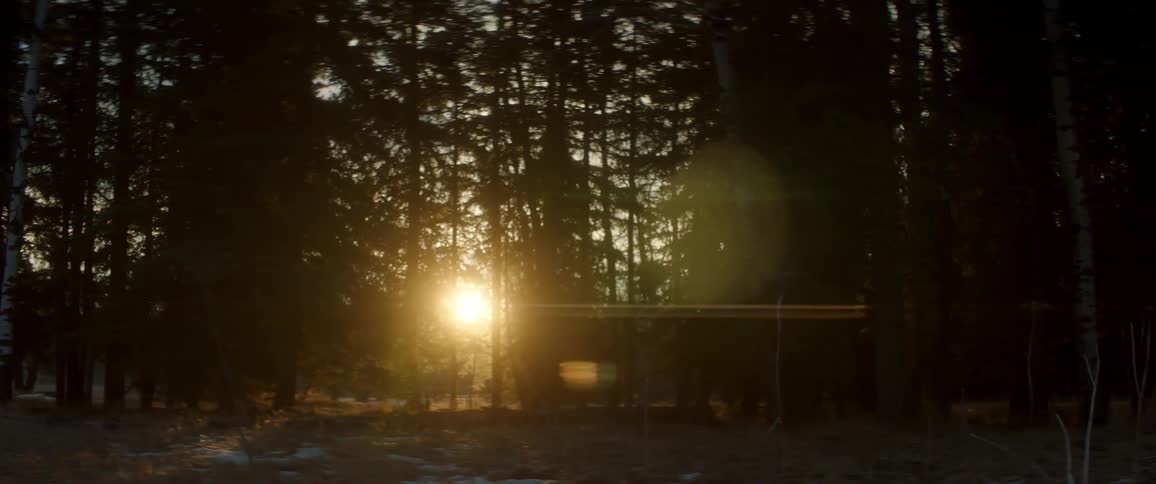 Panning over trees with the son in the background