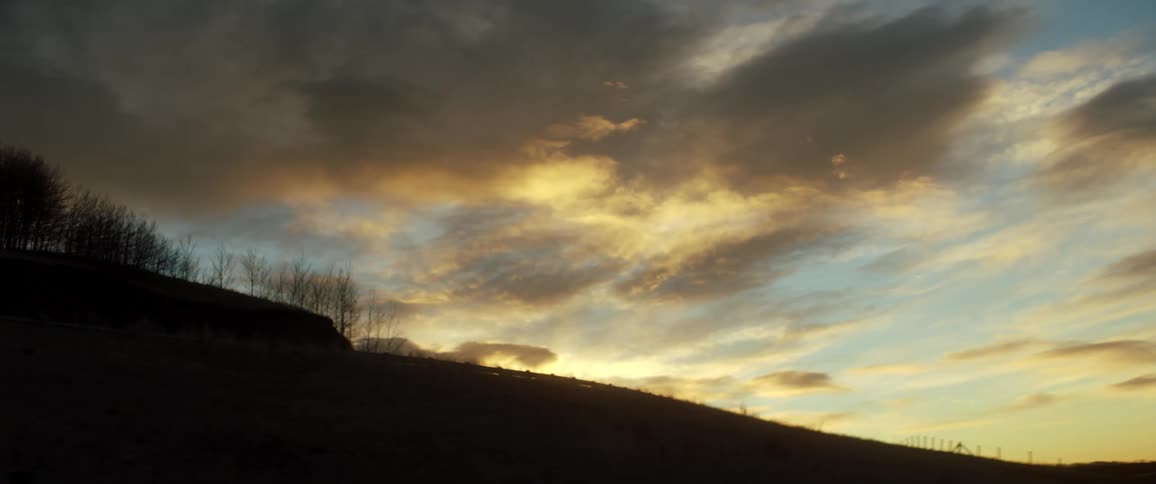 Leafless trees sit on slope under cloudy sky