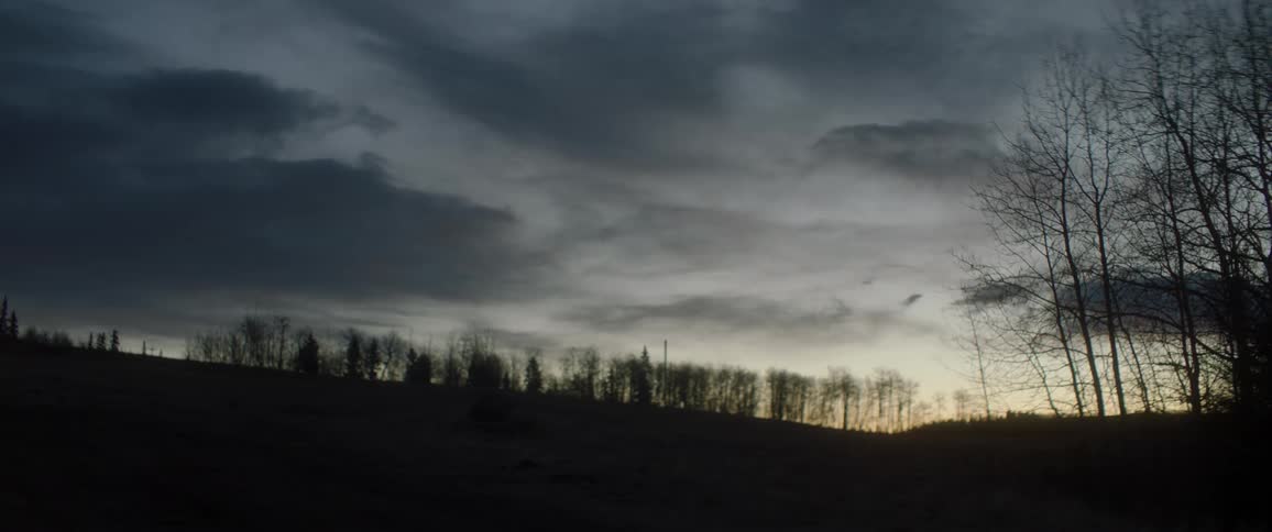 The sun sets over the horizon where there are dark shadows of hills in the distance and tall trees without leaves swaying back and forth