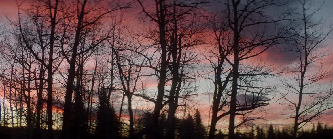 The sun is setting in the horizon