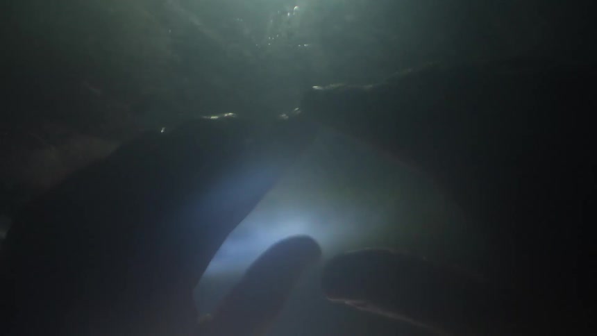 A persons hands with ice above