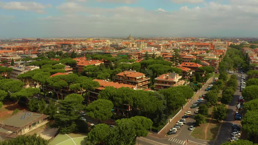Town with red roofed buildings and several trees stretches to misty horizon