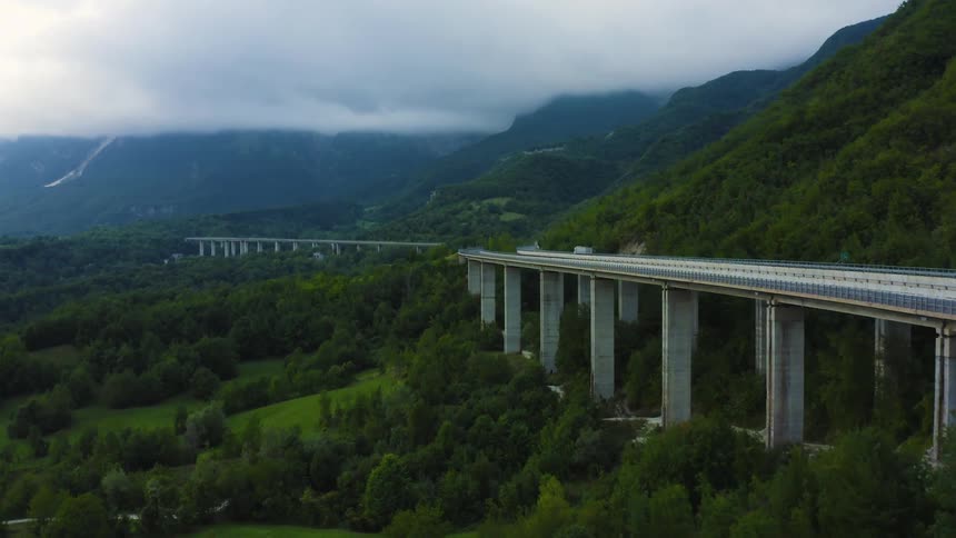 Large bridge in the middle of a forest