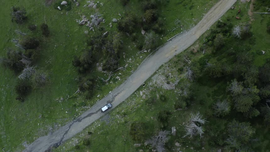 A car is driving in a rural area in spring