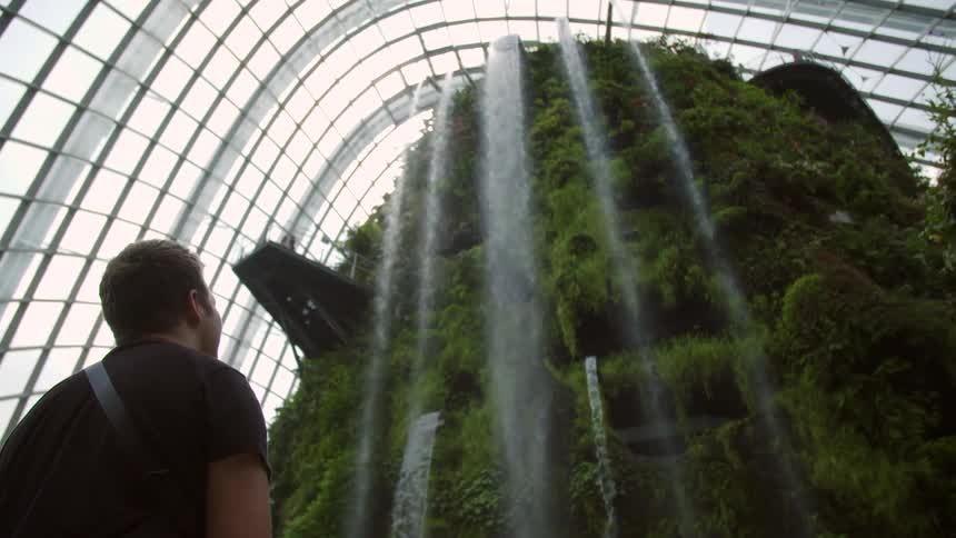 A man stands inside of a large building with windows surrounding and a giant mound of green shrubbery in front of him where waterfalls fall from the top