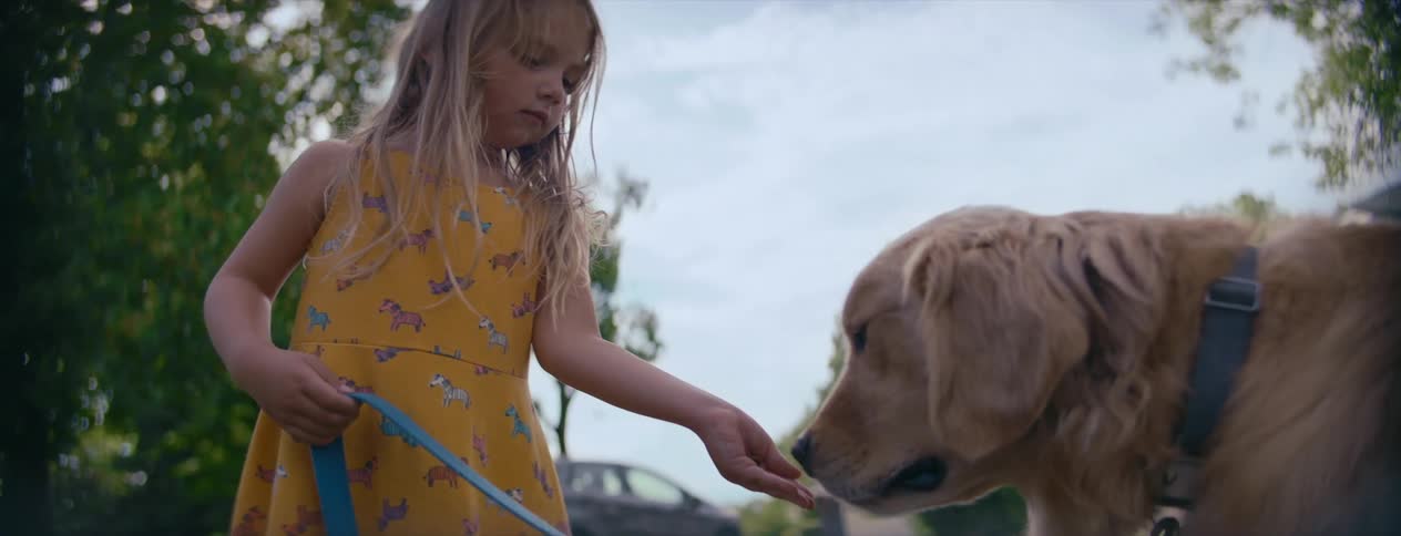 Young blonde girl in a yellow dress gives her pet dog a treat