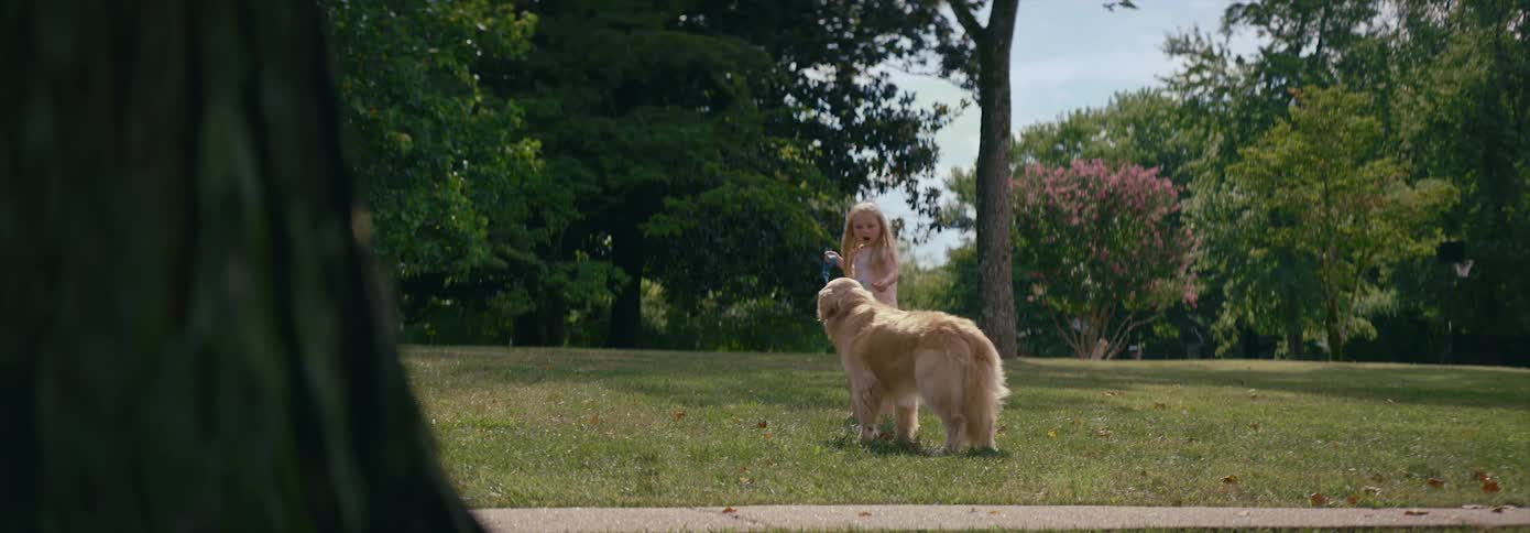 A girl walking a dog on a leash with trees the sky and clouds in the background