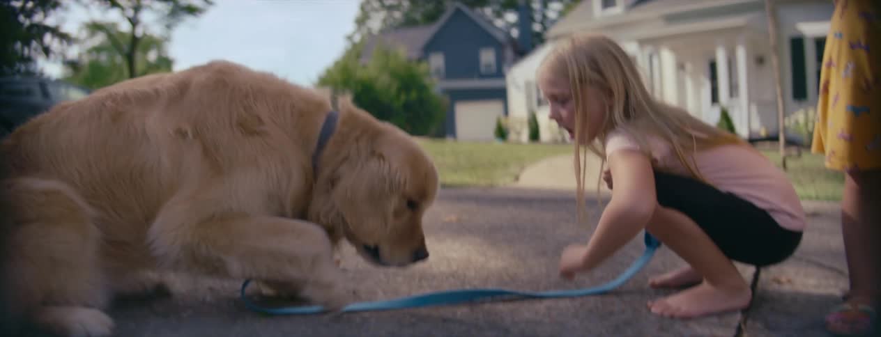 A young girl coaxes her pet dog to lie down in exchange for a treat