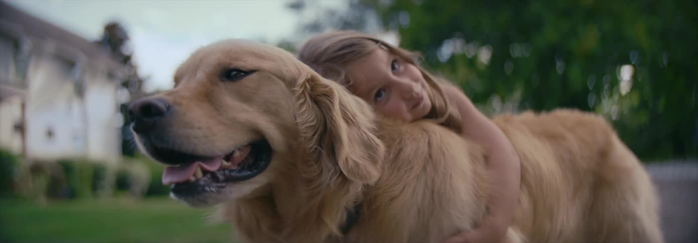 Girl hugging golden retriever in yard
